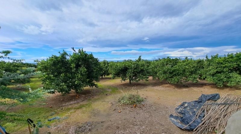 Alicante - Dolores - 262m2