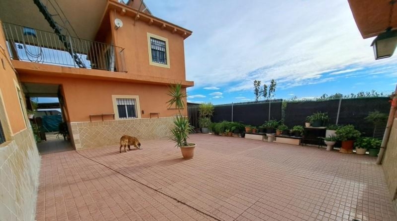 Alicante - Dolores - 262m2