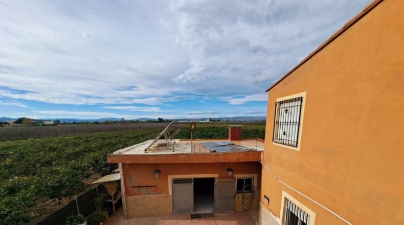 Alicante - Dolores - 262m2