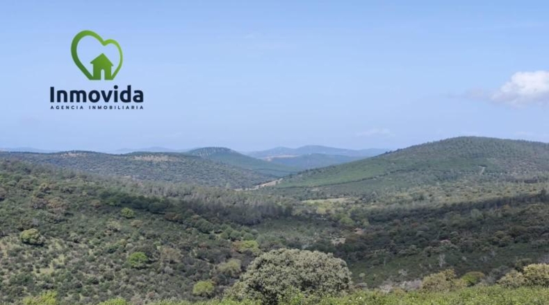 Córdoba - Villanueva del Duque - 110000m2