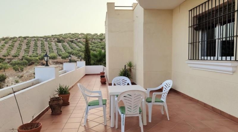 Córdoba - Baena - 1507m2