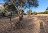 Urban land for sale on España, Córdoba, ref: TR172117 photo