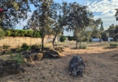 Urban land for sale on España, Córdoba, ref: TR172117 photo