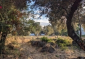 Urban land for sale on España, Córdoba, ref: TR172117 photo