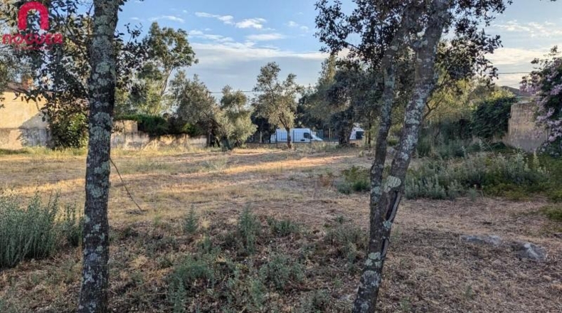 Córdoba - Córdoba - 2121m2