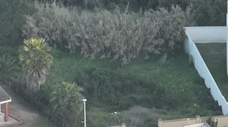 Huelva - Cartaya - 935m2