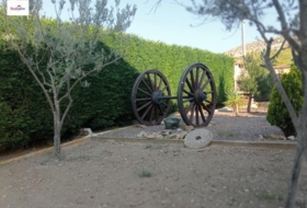 Foto 9