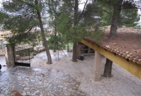 Foto 7