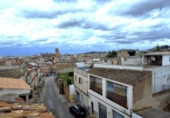 Detached villa with land for sale on España, Felanitx, ref: TR335749 photo