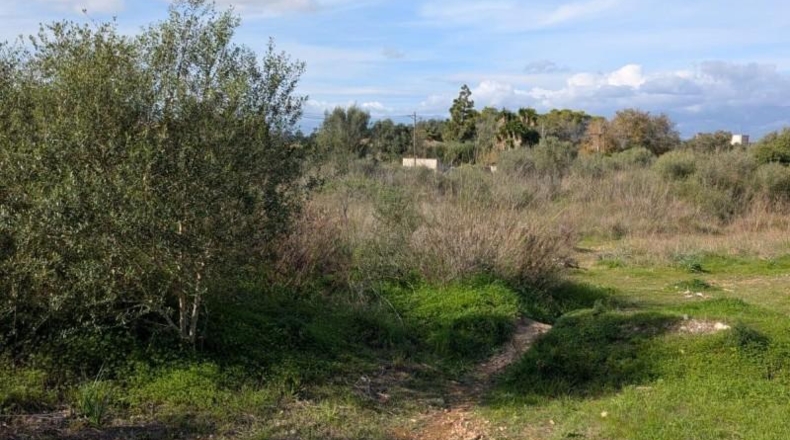 Балеарские острова - Sineu - 16924m2