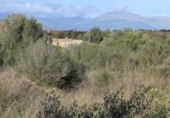 Terreny no urbanitzable en venda a la España, Sineu, ref.: TR367191 foto