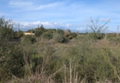 Terreny no urbanitzable en venda a la España, Sineu, ref.: TR367191 foto