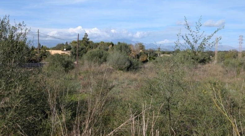 Балеарские острова - Sineu - 16924m2