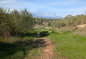 Terreny no urbanitzable en venda a la España, Sineu, ref.: TR367191 foto