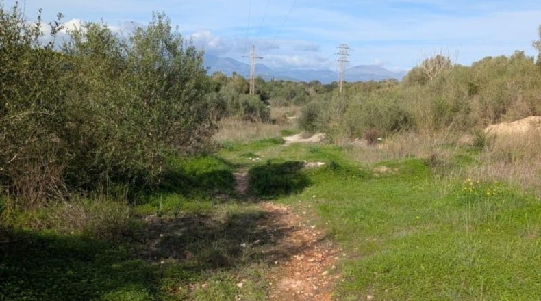 Балеарские острова - Sineu - 16924m2