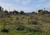 Terreny no urbanitzable en venda a la España, Sineu, ref.: TR367191 foto