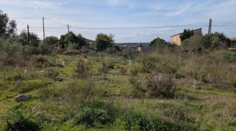 Балеарские острова - Sineu - 16924m2