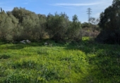 Terreny no urbanitzable en venda a la España, Sineu, ref.: TR367191 foto