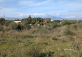 Terreny no urbanitzable en venda a la España, Sineu, ref.: TR367191 foto