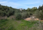 Terreny no urbanitzable en venda a la España, Sineu, ref.: TR367191 foto