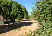Участок с постройкой на продажу в городе Espartinas Фото