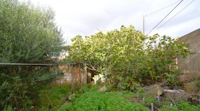 Islas Baleares - Muro - 398m2