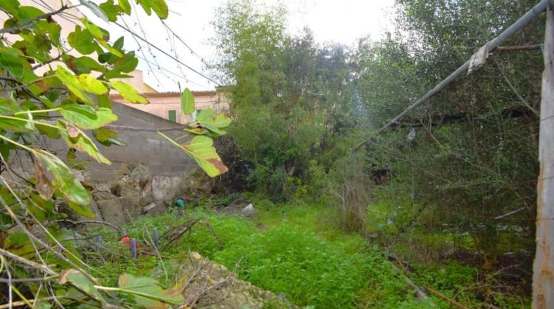 Islas Baleares - Muro - 398m2