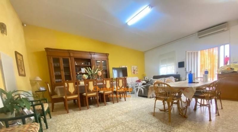 Alicante - Crevillente - 6700m2