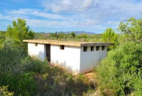 Foto 10