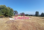 Sòl urbà en venda a la España, Còrdova, ref.: TR119927 foto