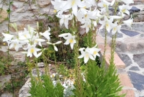 Foto 12