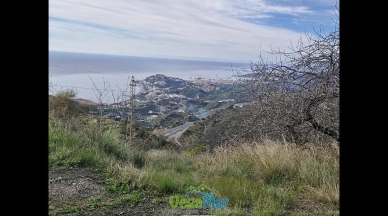 Granada - Almuñécar - 35000m2
