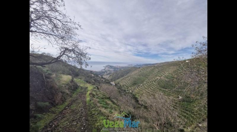 Granada - Almuñécar - 35000m2