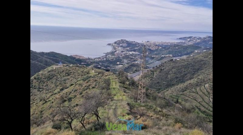 Granada - Almuñécar - 35000m2