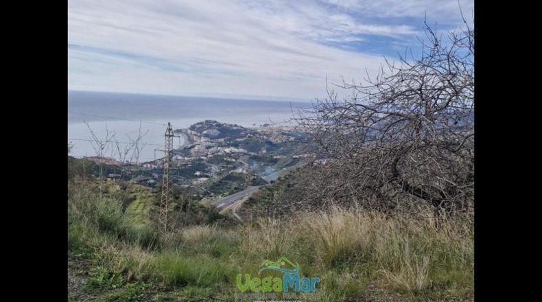 Granada - Almuñécar - 35000m2