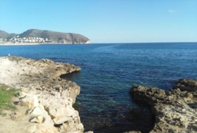 Foto 7