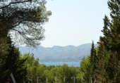 Suelo urbano en venta en la España, Alcúdia, ref: TR113468 foto