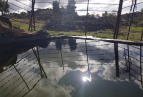 Foto 10