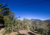Xalet independent amb terreny en venda a la España, Yunquera, ref.: TR135417 foto