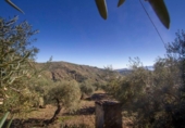 Xalet independent amb terreny en venda a la España, Yunquera, ref.: TR135417 foto
