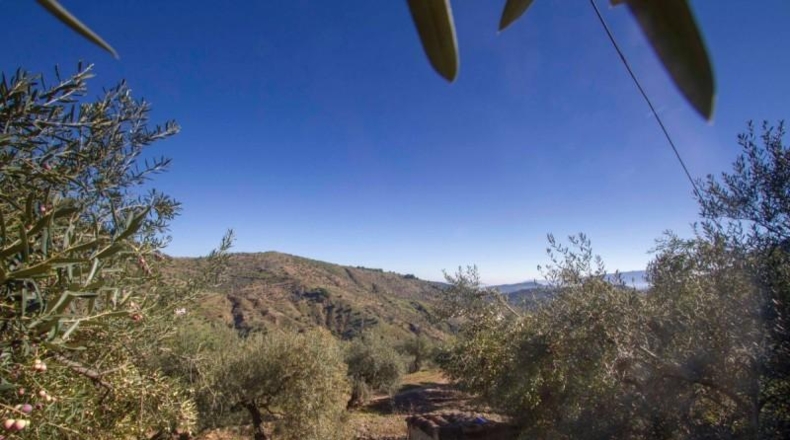 Málaga - Yunquera - 33556m2