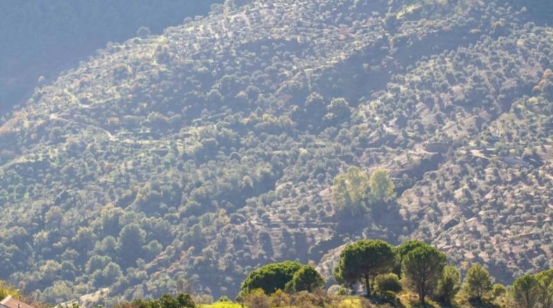 Málaga - Yunquera - 33556m2