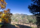 Xalet independent amb terreny en venda a la España, Yunquera, ref.: TR135417 foto