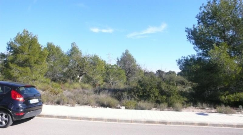 València - Bétera - 1318m2