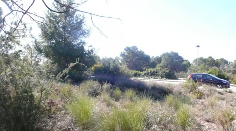 València - Bétera - 1318m2