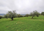 Chalet independiente con terreno en venta en la España, Alozaina, ref: TR136006 foto