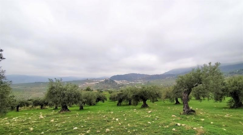 Málaga - Alozaina - 120000m2