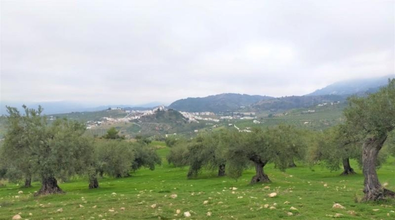 Málaga - Alozaina - 120000m2