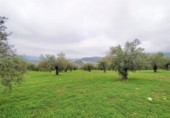 Chalet independiente con terreno en venta en la España, Alozaina, ref: TR136006 foto