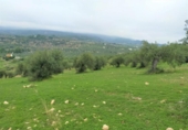 Chalet independiente con terreno en venta en la España, Alozaina, ref: TR136006 foto